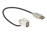 Modul - USB Type A