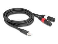 Adapter Cable RJ45 plug to 2 x XLR 3 pin