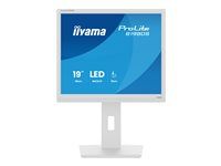 LED monitor - 19" - 1280 x 1024 @ 75 Hz - TN - 250 cd/m² - 1000:1 - 3 ms - HDMI, DisplayPort - reproduktory - bílá, matná