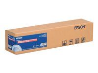 Pololesklý - Role (61 cm x 30,5 m) - 255 g/m² - 1 role fotografický papír - pro SureColor SC-P10000, P20000, P6000, P7000, P7500, P8000, P9000, P9500, T3200, T5200, T7200