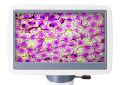 Digitální mikroskop Levenhuk D85L LCD