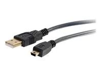 Kabel USB - USB (M) do mini-USB typ B (M) - USB 2.0 - 5 m - lisovaný - uhel