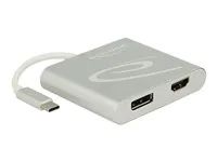 Externí video adaptér - USB-C - HDMI, DisplayPort - stříbrná - maloobchod