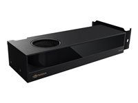Grafická karta - NVIDIA RTX 2000 Ada - 16 GB GDDR6 - PCIe 4.0 x16 - 4 x Mini DisplayPort - maloobchod