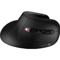 CONNECT IT FOR HEALTH, Ergonomická myš blk