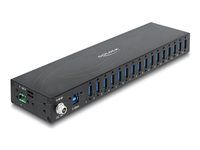Delock - Rozbocovac - prumyslový, 5 Gbps, s ochranou ESD 8 kV - 16 x SuperSpeed USB 3.0 - lze montovat na konzolu DIN, pro pripevnení na zed