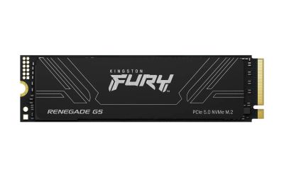 Kingston Fury Renegade G5/1TB/SSD/M.2 NVMe/Černá/Heatsink/5R