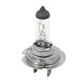 Autožárovka halogenová H7 12V 55W COMPASS