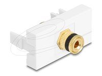 Easy 45 Module binding post to thread nu