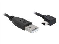 Kabel USB - USB (M) do mini-USB typ B (M) - 1 m - konektor s pravým úhlem