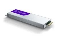 SSD - Data Center, Enterprise - 3.84 TB - interní - E1.S 9.5mm - PCIe 4.0 x4 (NVMe)