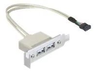 Kabel USB - USB (F) do hlavička USB 9 pinů (F) - USB 2.0 - 50 cm