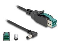 PoweredUSB cable male 12 V to DC 5.5 x 2
