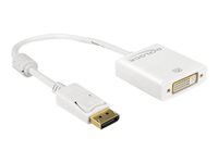 Nástroj pro převod videa - DVI - DisplayPort - bílá