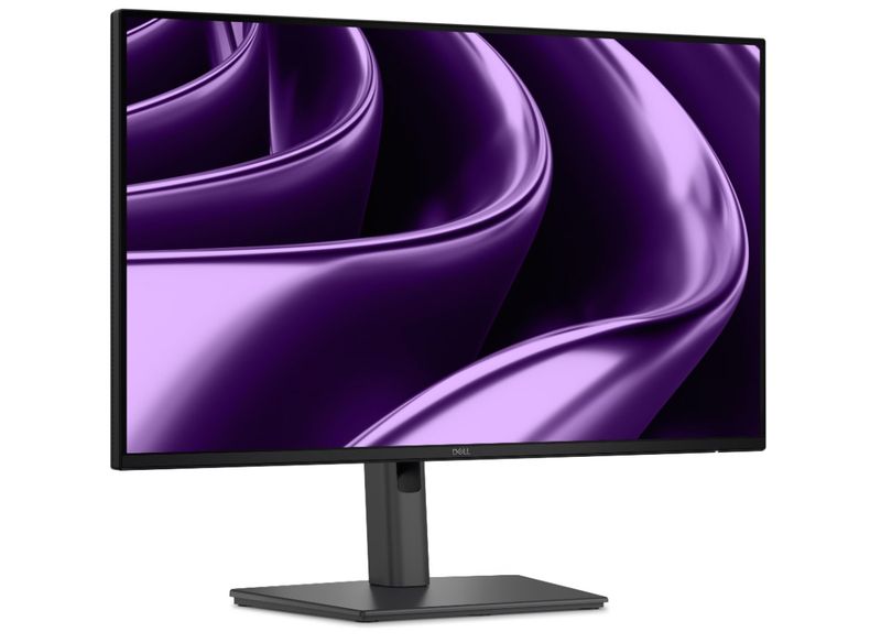 Dell Pro P/P2426HE/24"/IPS/FHD/120Hz/5ms/Černá/3RNBD