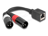 Adapter Cable RJ45 jack to 2 x XLR 3 pin