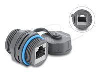 Delock - Sítový propojovací kabel - RJ-45 (F) do RJ-45 (F) - odstínený - CAT 6a - vnitrní/venkovní - šedá