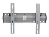 Montážní sada (montážní deska pro umístění na zdi, upevňovací prvky, 2 konzoly) - Technologie konstantní síly - pro plochý panel - ocel, extrudovaný hliník - stříbrná - velikost obrazovky: 32"-120"