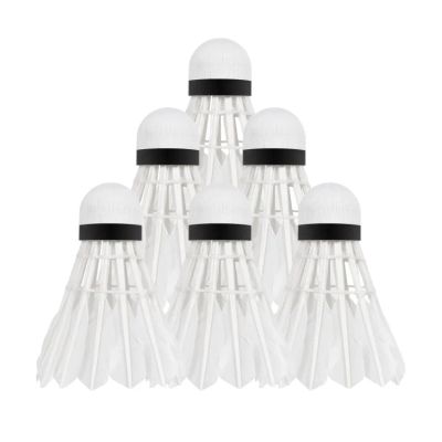 Lopatky na badminton REBEL RBA-4103