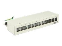 Propojovací panel - světle šedá, RAL 7035 - 12 portů