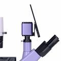 Biologický inverzní digitální mikroskop MAGUS Bio VD300 LCD
