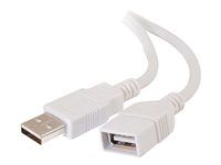 USB A Male to USB A Female Cable - Kabel USB - USB (F) do USB (M) - 2 m - bílá