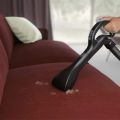 ELECTROLUX PD82-ANIMA, ruční vysavač