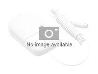 Wireless Mouse BT/2.4G NOTEBOOK