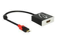 Externí video adaptér - RTD2171U - USB-C - HDMI - černá - maloobchod