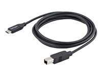 USB 2.0 - USB Type C Printer Cable M/M - USB 2.0 Type-C to Type-B Cable (USB2CB2M) - USB kabel - USB-C (M) do USB typ B (M) - Thunderbolt 3 / USB 2.0 - 2 m - černá