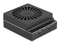 Delock - Dokovací stanice SSD - 20 Gbps, with clone function and erase function - oddílu: 4 - M.2 - M.2 NVMe Card - USB - cerná
