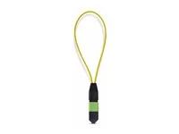 Single Mode MPO-12 Male Loopback Plug - LOOPBACKMTP12OS2SMM