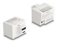 Keystone Module with USB Type-A and USB