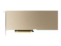 Grafický počítačový procesor - A10 - 24 GB GDDR6 - PCIe 4.0 x16 - bez ventilátoru