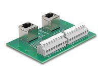 RJ45 2 x female to 2 x Terminal Block wi