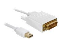 Kabel DisplayPort - Mini DisplayPort (M) do DVI-D (M) - 2 m