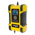 Nabíječka akumulátorů CARSPA CFG12/24-12 LiFePO4,PB