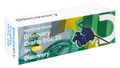 Zvětšovací brýle Levenhuk Discovery Crafts DGL 20