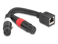 Adapter Cable RJ45 jack to 2 x XLR 3 pin