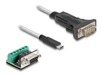 Adapter USB Type-C to 1 x Serial RS-422/