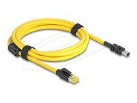 Mini I/O 8 pin D-shape type 2 plug to RJ