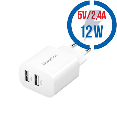 INTENSO W24AA, 2x USB A, Nabíječka, 12W, bílá