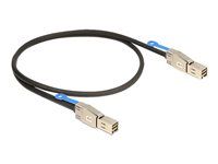 Externí kabel SAS - SAS 12Gbit/s - 36kolíkový 4x stíněný konektor Mini MultiLane (M) do 36kolíkový 4x stíněný konektor Mini MultiLane (M) - 2 m - opatřený západkou