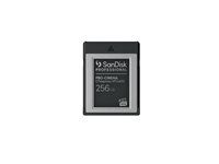 Paměťová karta flash - 256 GB - CFexpress typu B - černá