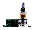 Fluorescenční digitální mikroskop MAGUS Lum D450L LCD