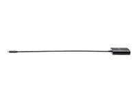 USB adaptér - USB typ A, USB-C (pouze napájení) (F) do USB-C (M) - USB 3.1 Gen 1 - USB Power Delivery (95W)