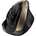 GENIUS 8250S, Bezdrátová myš, vertikální černá-zlatá