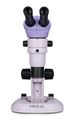 Stereomikroskop MAGUS Stereo A8