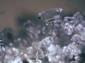 Stereomikroskop Bresser Erudit ICD