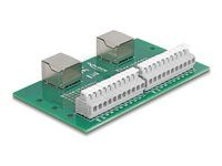 RJ50 2 x female to 2 x Terminal Block wi